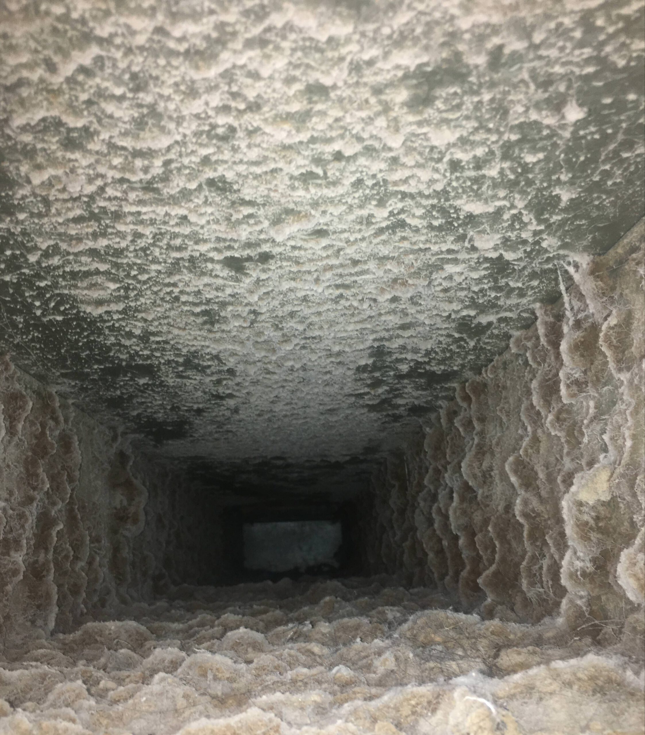 Behind the Scenes: A Closer Look at the Essential Role of Air Duct and Vent Cleaning Professionals.